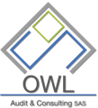 OWL AUDIT & CONSULTING